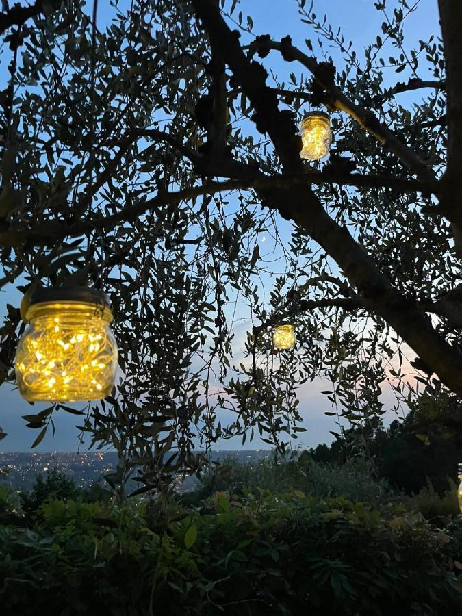 La Terrazza Sulla Versilia Pietrasanta Eksteriør bilde