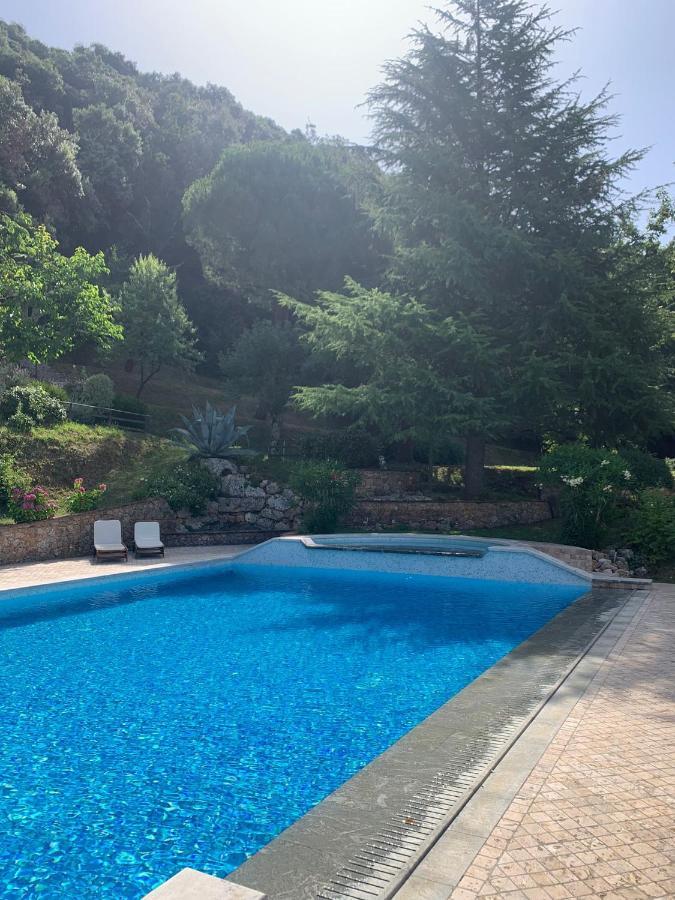 La Terrazza Sulla Versilia Pietrasanta Eksteriør bilde