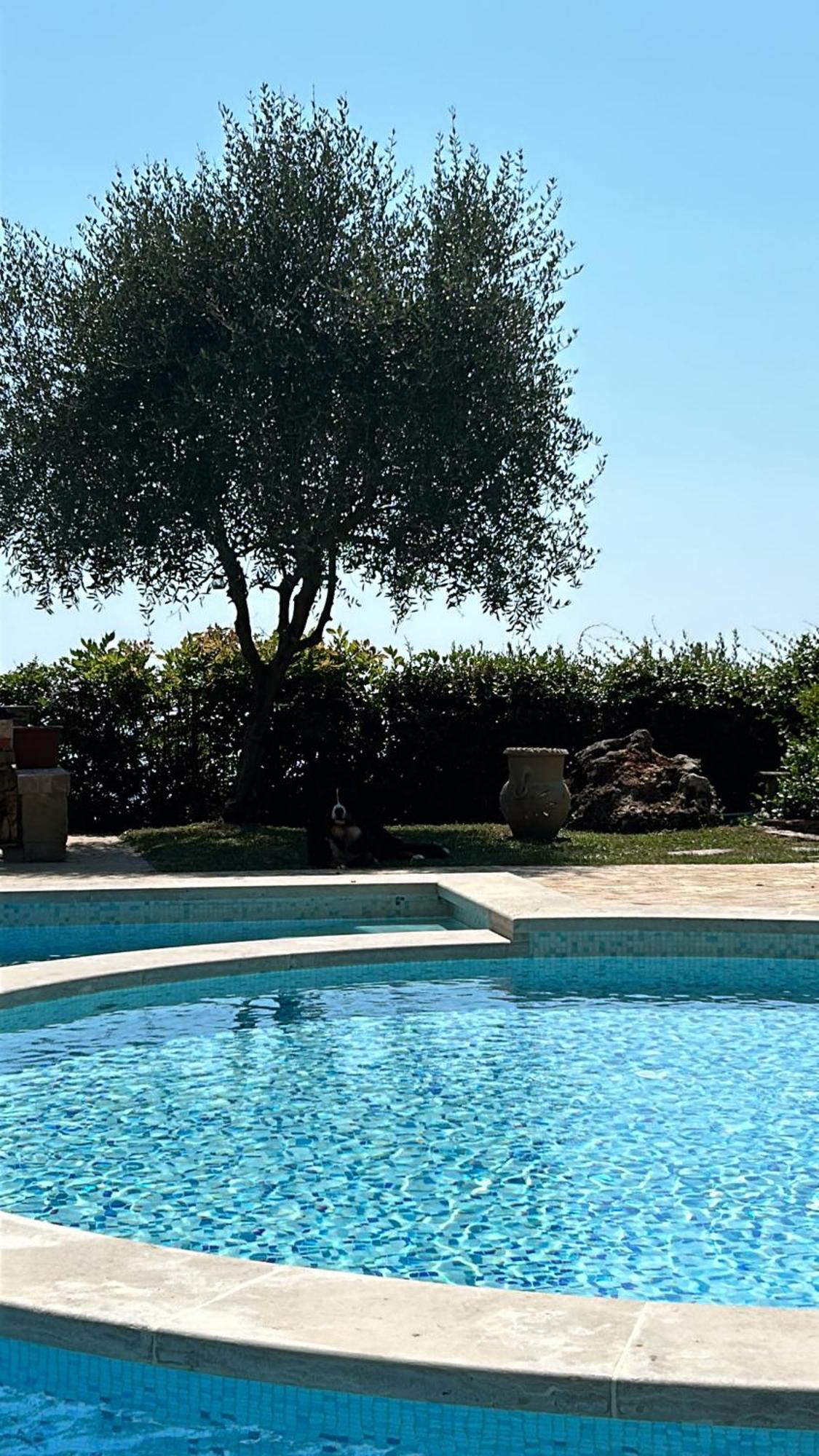 La Terrazza Sulla Versilia Pietrasanta Eksteriør bilde